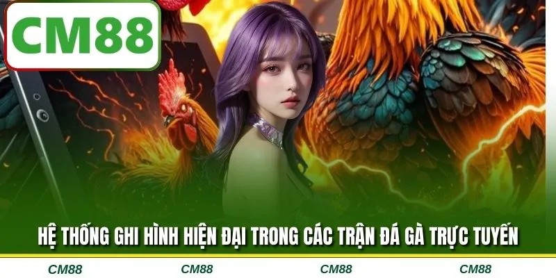 Hệ thống ghi hình hiện đại trong các trận đá gà trực tuyến 